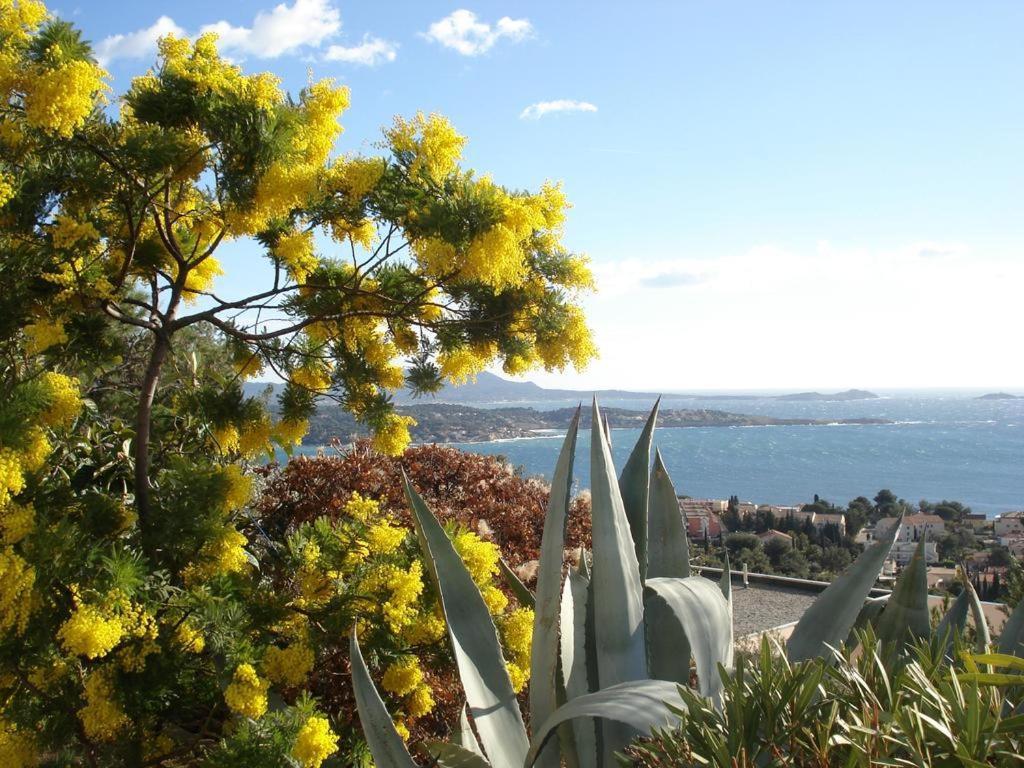 Apartamento T2 Aigues Marines 2 étoiles Bandol Exterior foto