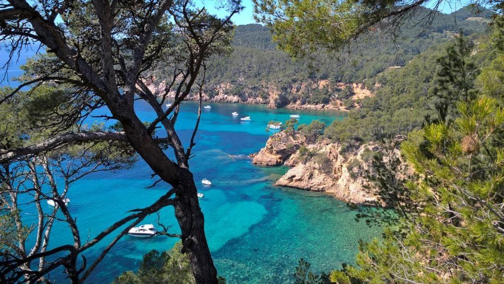 Apartamento T2 Aigues Marines 2 étoiles Bandol Exterior foto
